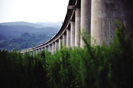 Bearing Arrangement for Curved Bridges