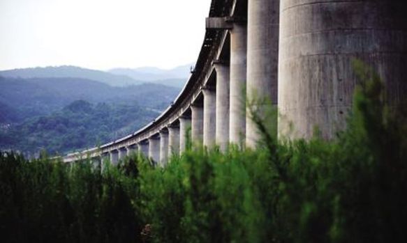 Bearing Arrangement for Curved Bridges
